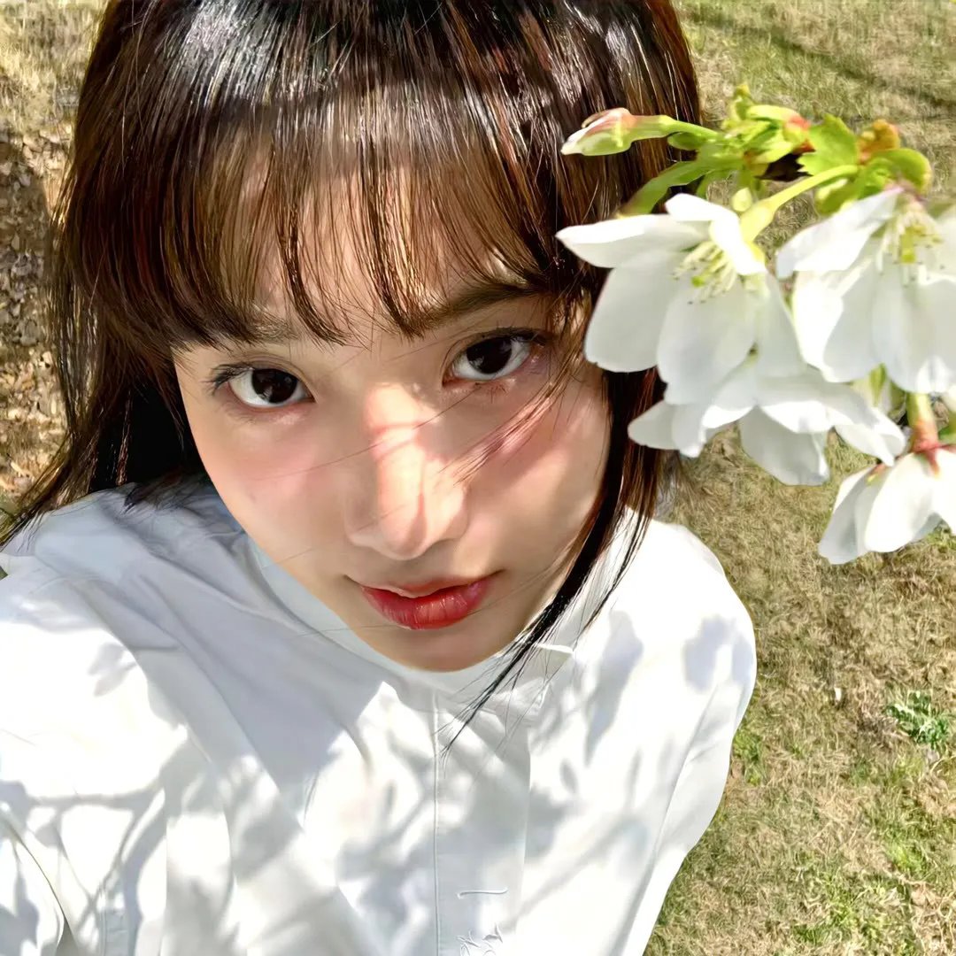 乘风破浪的姐姐第二季